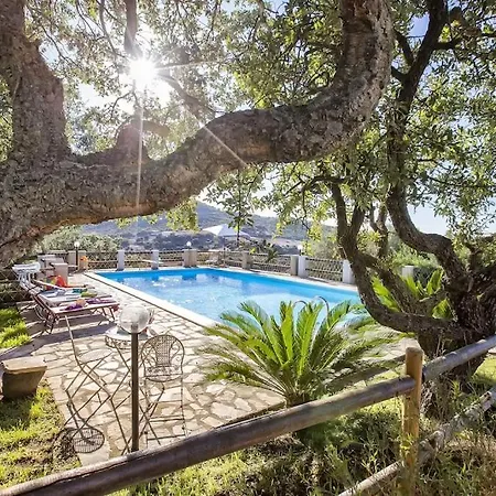 빌라 Olive Tree, Immersa Nella Natura Per Relax E Quiete