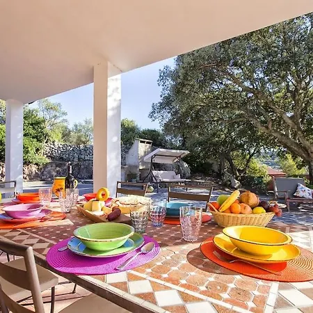 Olive Tree, Immersa Nella Natura Per Relax E Quiete