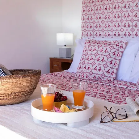 Olive Tree, Immersa Nella Natura Per Relax E Quiete 빌라 *