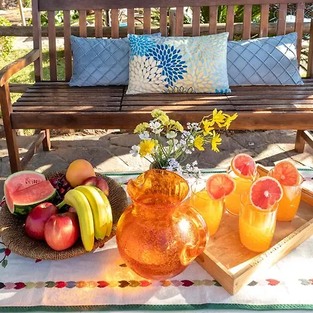 Olive Tree, Immersa Nella Natura Per Relax E Quiete