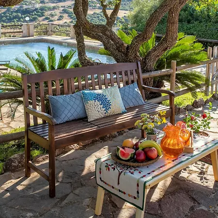 Olive Tree, Immersa Nella Natura Per Relax E Quiete 빌라