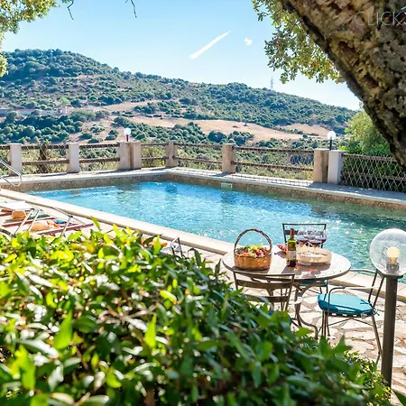 Villa Olive Tree, Immersa Nella Natura Per Relax E Quiete *