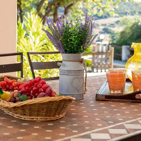 Olive Tree, Immersa Nella Natura Per Relax E Quiete