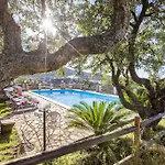 Villa Olive Tree, Immersa Nella Natura Per Relax E Quiete
