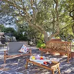 Olive Tree, Immersa Nella Natura Per Relax E Quiete Villa *