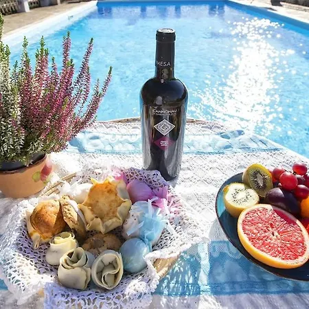 Olive Tree, Immersa Nella Natura Per Relax E Quiete *