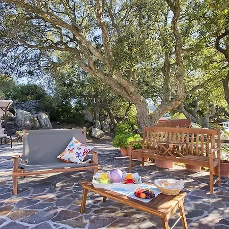 Olive Tree, Immersa Nella Natura Per Relax E Quiete Villa *