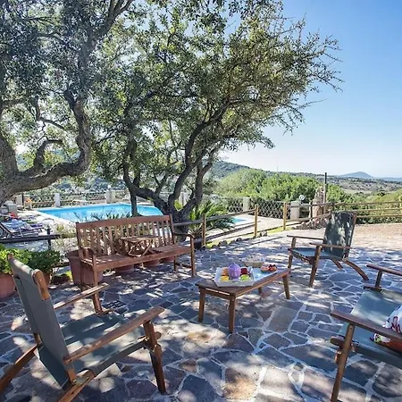 Olive Tree, Immersa Nella Natura Per Relax E Quiete *