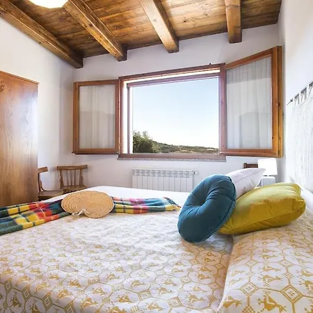 Olive Tree, Immersa Nella Natura Per Relax E Quiete