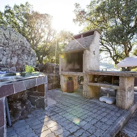 Olive Tree, Immersa Nella Natura Per Relax E Quiete