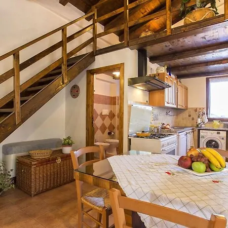 Olive Tree, Immersa Nella Natura Per Relax E Quiete *