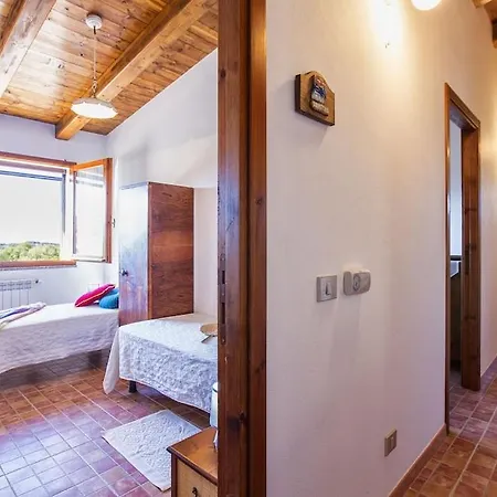 Olive Tree, Immersa Nella Natura Per Relax E Quiete