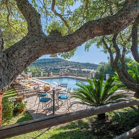 Olive Tree, Immersa Nella Natura Per Relax E Quiete Putifigari