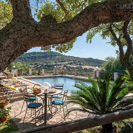 Olive Tree, Immersa Nella Natura Per Relax E Quiete Villa Putifigari