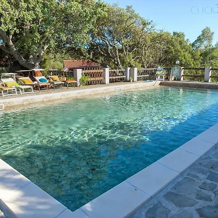 Olive Tree, Immersa Nella Natura Per Relax E Quiete Villa