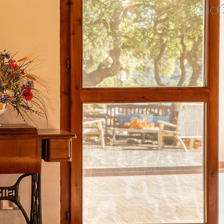 Olive Tree, Immersa Nella Natura Per Relax E Quiete Villa *