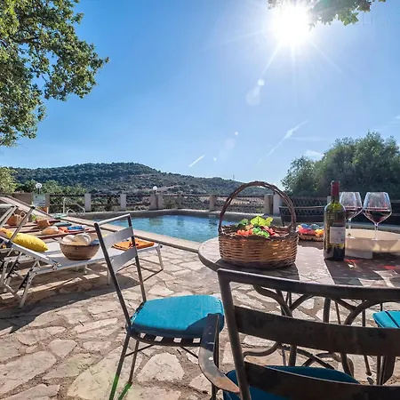 Olive Tree, Immersa Nella Natura Per Relax E Quiete