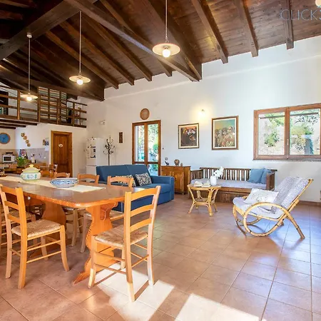 Villa Olive Tree, Immersa Nella Natura Per Relax E Quiete