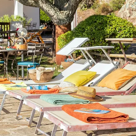 Villa Olive Tree, Immersa Nella Natura Per Relax E Quiete *