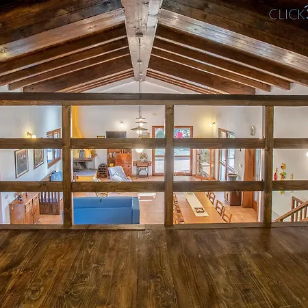 Olive Tree, Immersa Nella Natura Per Relax E Quiete *