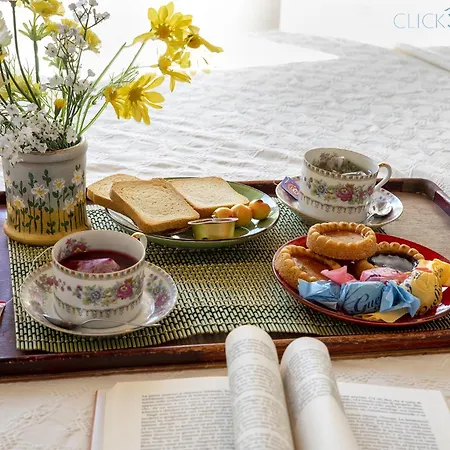 Olive Tree, Immersa Nella Natura Per Relax E Quiete Villa *