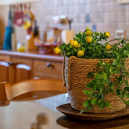 Olive Tree, Immersa Nella Natura Per Relax E Quiete Villa