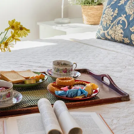 Olive Tree, Immersa Nella Natura Per Relax E Quiete *