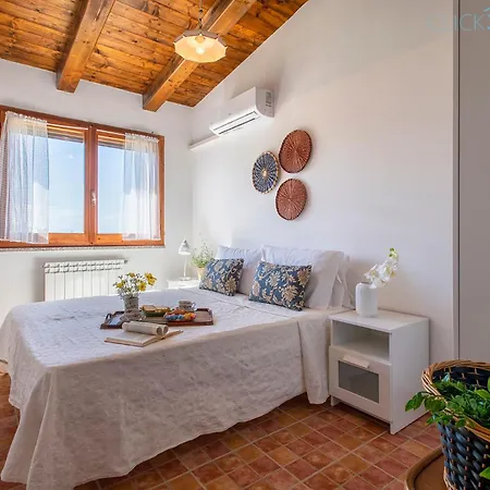 Olive Tree, Immersa Nella Natura Per Relax E Quiete Putifigari