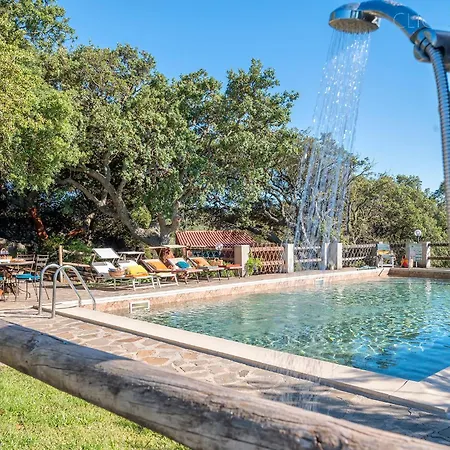 Villa Olive Tree, Immersa Nella Natura Per Relax E Quiete